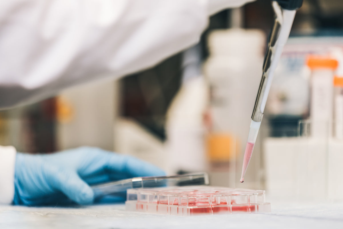 Researcher working with samples in a laboratory