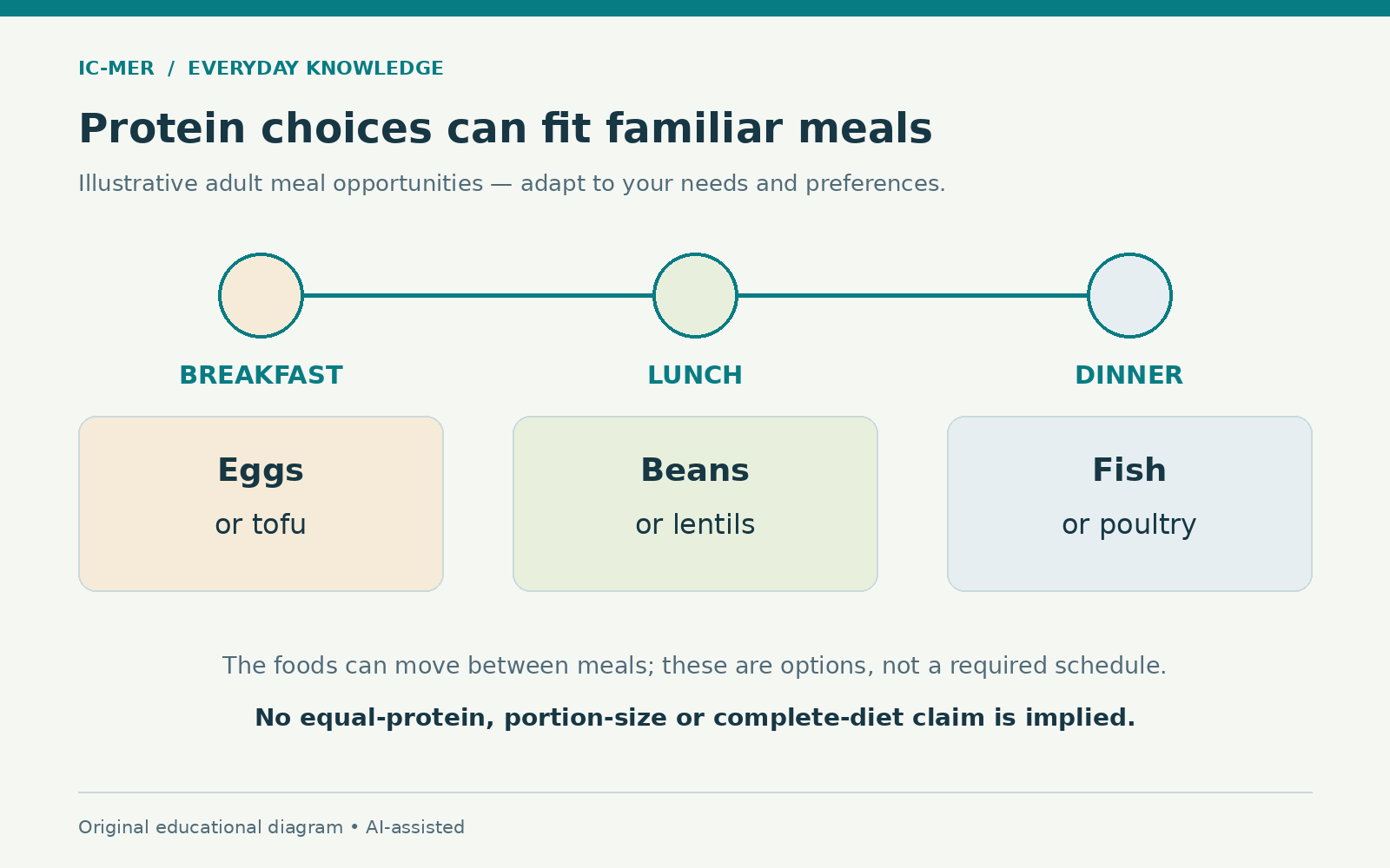 Adult meal opportunities show eggs or tofu at breakfast, beans or lentils at lunch, and fish or poultry at dinner. Foods may move between meals; no portion, equal-protein or complete-diet claim is made.