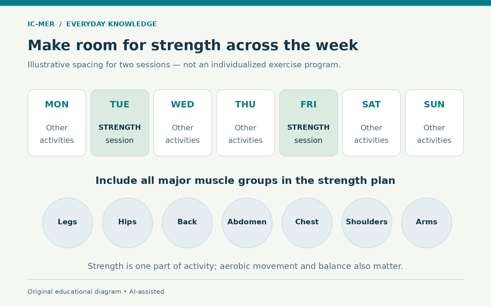 An illustrative weekly calendar places strength sessions on Tuesday and Friday. It lists legs, hips, back, abdomen, chest, shoulders and arms as major muscle groups, and notes that aerobic movement and balance also matter.